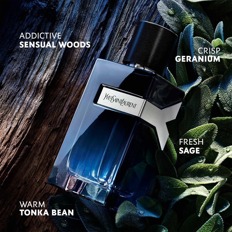 Yves Saint Laurent Y